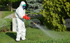 В Раднево и Гълъбово ще бъде извършена планова дезакаризация