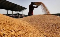 Зърнопроизводители готвят протести заради 50% скок на разходите