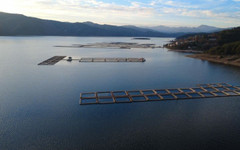 Забраната за ловене на риба влезе в сила