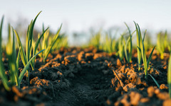 Растящите разходи в земеделието водят до напрежение в сектора