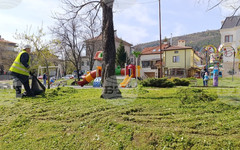 Започна обработката и поддръжката на зелените площи в Шумен