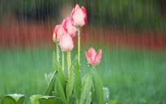 Облаци и дъжд в деня за размисъл