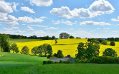 Жегичка с облаци предлага менюто днес