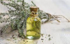 Билките на дълголетието: Древни тайни за модерно здраве