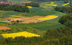 Рентата невинаги е освободена от данък