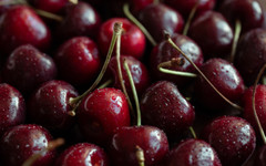 Очаква се бум на български череши