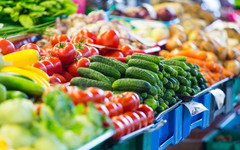Производители в битка за оцеляване: Защо зеленчуците са толкова скъпи