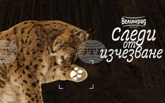 Зоопаркът в Стара Загора ще бъде домакин на пътуващата изложба "Следи от изчезване"