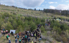 1500 фиданки бяха засадени от доброволци - Стара Загора вече е с нова зелена зона