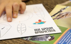 Димитър Градинаров: Врабчетата в София са намалели наполовина