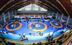 Седем българи се класираха за финалите в Букурещ