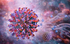 Херпес, причинен от вируса на варицела - от диагнозата до лечението