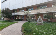 Регионалната библиотека в Плевен и здравната инспекция организират лектория за сърдечното здраве