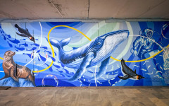 От джунгла към арт пространство: Вижте новия облик на подлеза на "Цариградско шосе"