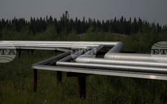 Хърватската компания ЯНАФ е получила лиценз за транспортиране на суров петрол до Сърбия до 16 юни