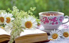 7 вида чай срещу главоболие