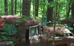 Градът на старите коли: Природата създава изкуство