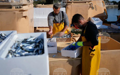 Европа одобри 760 млн. евро помощ за рибарите