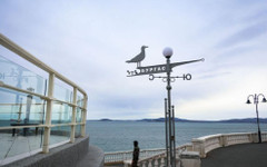 Избори на борда: Моряците от ферибот "Дружба" гласуват в открито море