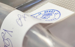 366 секции отвориха в област Пазарджик