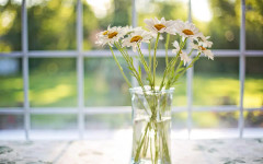 Какво да добавите във вазата, за да не увехнат цветята цяла седмица?