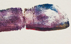 На бас, че не знаете! Ето защо имаме отпечатъци на пръстите