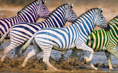 13:00 ч.: отново няма промяна във временното класиране