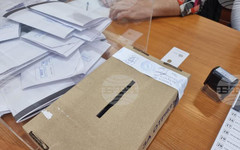 Избирателната активност към 16:00 часа в област Кюстендил е 33 процента