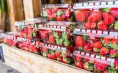 Край на пластмасовите кутии за плодове: ЕС променя правилата за опаковките