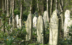 Откриха телата на 50 бебета, изхвърлени в местно гробище в Тринидад, полицията разследва