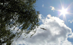 Дъжд и сняг през новата седмица, но ето кога идва ударното затопляне