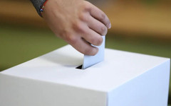 Алфа Рисърч: Избирателната активност достига 43,5%