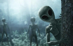 Една партия побърка Петрич. Хората видяха извънземни