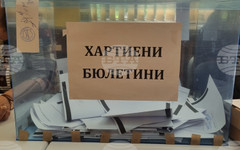 Избирателната активност в област Плевен към 16:00 часа е 34,73 процента, съобщиха от РИК