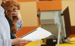 ДЕНЯТ В НЯКОЛКО РЕДА: Румен Радев съвсем близо до самостоятелно мнозинство