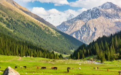 Узбекистан има планове за $60-милионен курорт. Проблемът е, че той се намира в друга държава