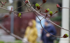 Седмицата започва с дъжд