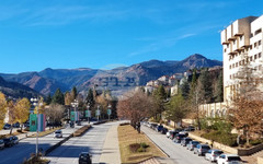 При 100% обработени протоколи в област Смолян "Прогресивна България" получава 49,01% от гласовете, втори са ГЕРБ-СДС с 13,86%