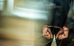 Област Плевен след вота: Знакови арести на хора, близки до "тартора на Буковлък"