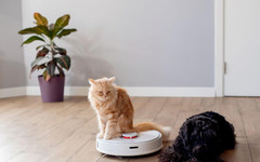 Умните домове са модерни, но трябва да внимаваме с тях