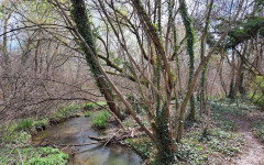 Старозагорци се събират в "Бедечка" за по-чист и зелен град