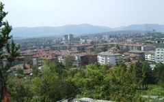 Пеевски плаче и в Търговище: Радев води с 15% в региона