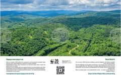 Изложбата "Природата има нужда от нас" ще бъде открита на Терминал 2 на летище "Васил Левски" – София