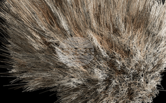 Изложбата "Човешкият алгоритъм" изследва взаимодействието между човека и дигиталните системи