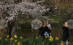 Британската компания за луксозни чанти "Мълбъри" се връща към ръст на продажбите въпреки спада на потребителското търсене