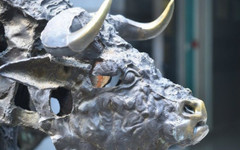 SOFIX прекъсна възходящата си серия при оборот на основен пазар от над 524 хил. евро