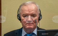 Сръбският министър на правосъдието Ненад Вуич посети Ратко Младич в затвора и поиска освобождането му за лечение