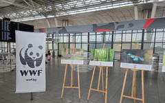 Фотографска изложба представя дейността на WWF по опазване на природата в България през последните 20 години