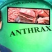 Мъртви и умиращи от антракс животни са преработени на саздърма
