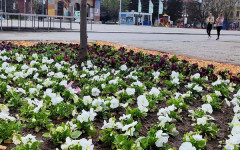 Бизнесът в Кюстендил изпитва най-голям глад за кадри в производството и услугите